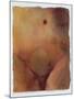 Wood Mount