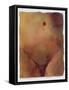 Framed Canvas
