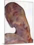 Wood Mount