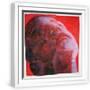White Frame