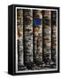 Framed Canvas
