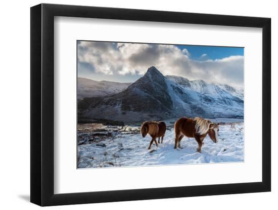 Premium Photographic Print, , large