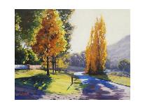 Autumn Backlight-Graham Gercken-Art Print