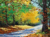 Autumn Forest-Graham Gercken-Stretched Canvas