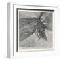 Graham in the Aeropile-Henri Lanos-Framed Art Print