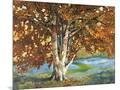 Wood Mount