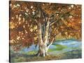 Stretched Canvas