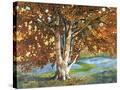 Stretched Canvas