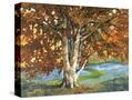 Stretched Canvas