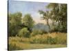 Grailville View-Mary Jean Weber-Stretched Canvas