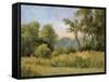 Grailville View-Mary Jean Weber-Framed Stretched Canvas