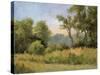 Grailville View-Mary Jean Weber-Stretched Canvas