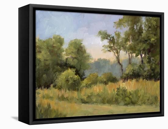 Grailville View-Mary Jean Weber-Framed Stretched Canvas