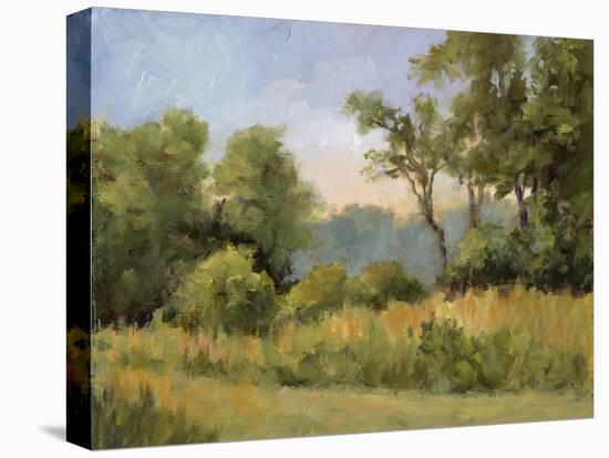 Grailville View-Mary Jean Weber-Stretched Canvas