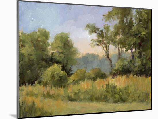 Grailville View-Mary Jean Weber-Mounted Art Print