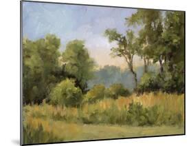 Grailville View-Mary Jean Weber-Mounted Art Print