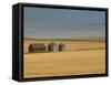 Grain Barn on Wheat Farm in Rosebud, Alberta, Canada-Walter Bibikow-Framed Stretched Canvas