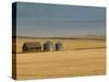 Grain Barn on Wheat Farm in Rosebud, Alberta, Canada-Walter Bibikow-Stretched Canvas