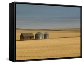 Grain Barn on Wheat Farm in Rosebud, Alberta, Canada-Walter Bibikow-Framed Stretched Canvas