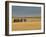 Grain Barn on Wheat Farm in Rosebud, Alberta, Canada-Walter Bibikow-Framed Premium Photographic Print