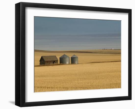 Grain Barn on Wheat Farm in Rosebud, Alberta, Canada-Walter Bibikow-Framed Premium Photographic Print