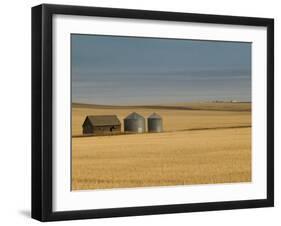 Grain Barn on Wheat Farm in Rosebud, Alberta, Canada-Walter Bibikow-Framed Premium Photographic Print