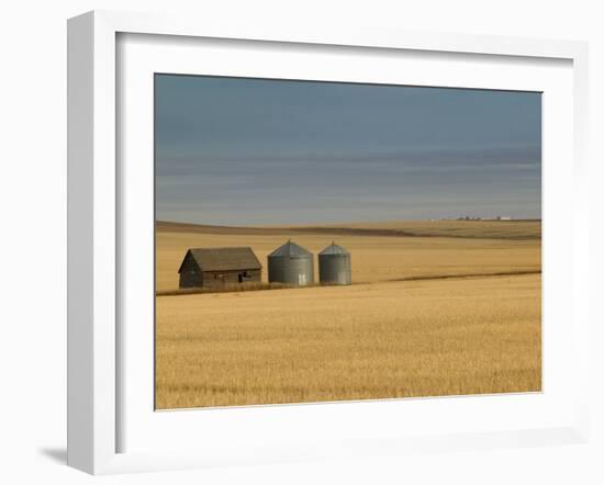 Grain Barn on Wheat Farm in Rosebud, Alberta, Canada-Walter Bibikow-Framed Premium Photographic Print