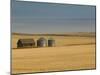 Grain Barn on Wheat Farm in Rosebud, Alberta, Canada-Walter Bibikow-Mounted Premium Photographic Print