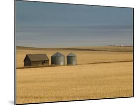 Grain Barn on Wheat Farm in Rosebud, Alberta, Canada-Walter Bibikow-Mounted Premium Photographic Print