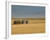 Grain Barn on Wheat Farm in Rosebud, Alberta, Canada-Walter Bibikow-Framed Photographic Print