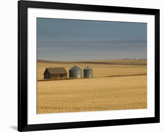 Grain Barn on Wheat Farm in Rosebud, Alberta, Canada-Walter Bibikow-Framed Photographic Print