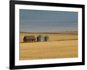 Grain Barn on Wheat Farm in Rosebud, Alberta, Canada-Walter Bibikow-Framed Photographic Print