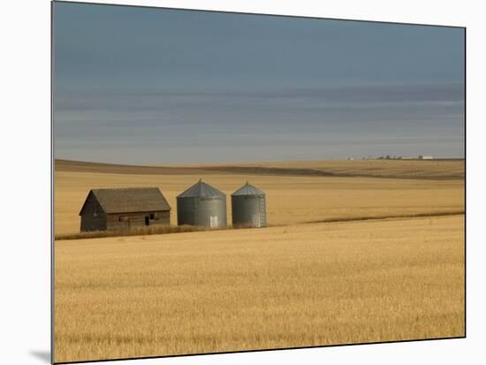 Grain Barn on Wheat Farm in Rosebud, Alberta, Canada-Walter Bibikow-Mounted Photographic Print