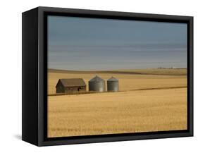 Grain Barn on Wheat Farm in Rosebud, Alberta, Canada-Walter Bibikow-Framed Stretched Canvas