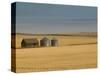 Grain Barn on Wheat Farm in Rosebud, Alberta, Canada-Walter Bibikow-Stretched Canvas