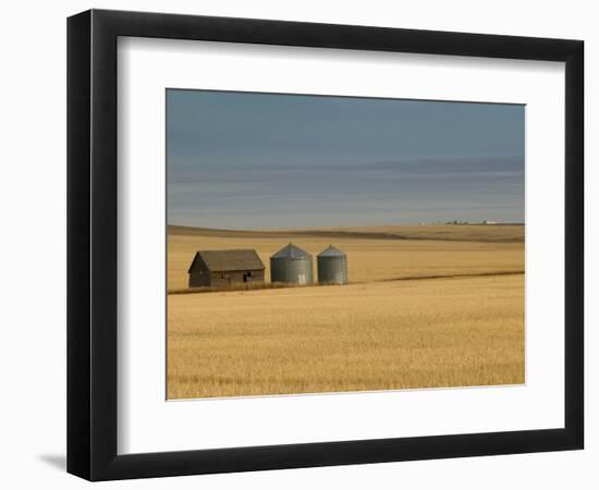 Grain Barn on Wheat Farm in Rosebud, Alberta, Canada-Walter Bibikow-Framed Photographic Print