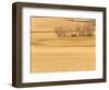 Grain Barn on Wheat Farm in Rosebud, Alberta, Canada-Walter Bibikow-Framed Photographic Print