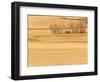 Grain Barn on Wheat Farm in Rosebud, Alberta, Canada-Walter Bibikow-Framed Photographic Print