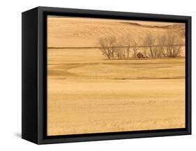 Grain Barn on Wheat Farm in Rosebud, Alberta, Canada-Walter Bibikow-Framed Stretched Canvas