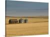 Grain Barn on Wheat Farm in Rosebud, Alberta, Canada-Walter Bibikow-Stretched Canvas