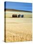 Grain Barn, Rosebud, Alberta, Canada-Walter Bibikow-Stretched Canvas