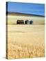 Grain Barn, Rosebud, Alberta, Canada-Walter Bibikow-Stretched Canvas
