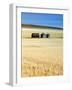 Grain Barn, Rosebud, Alberta, Canada-Walter Bibikow-Framed Photographic Print