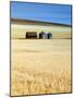 Grain Barn, Rosebud, Alberta, Canada-Walter Bibikow-Mounted Photographic Print