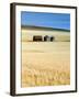 Grain Barn, Rosebud, Alberta, Canada-Walter Bibikow-Framed Photographic Print