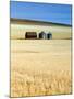 Grain Barn, Rosebud, Alberta, Canada-Walter Bibikow-Mounted Photographic Print