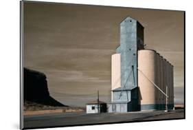 Grain Elevator-David Winston-Mounted Giclee Print