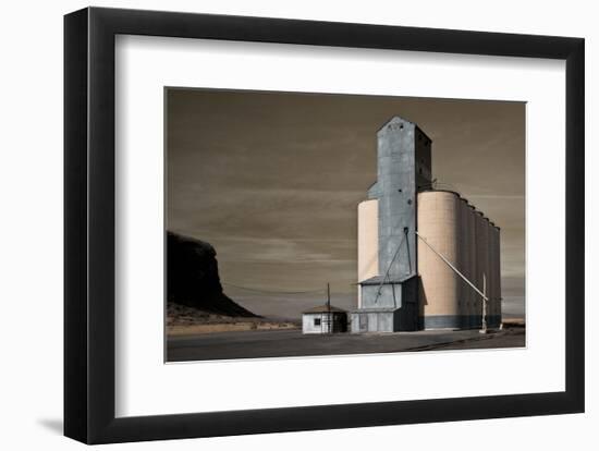 Grain Elevator-David Lorenz Winston-Framed Art Print