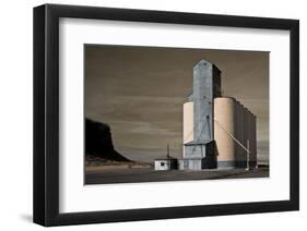 Grain Elevator-David Lorenz Winston-Framed Art Print