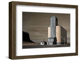 Grain Elevator-David Lorenz Winston-Framed Art Print